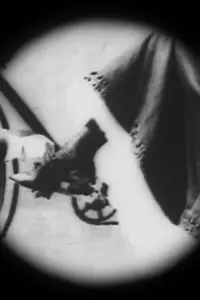 Poster to the movie "As Seen Through a Telescope" #1195727