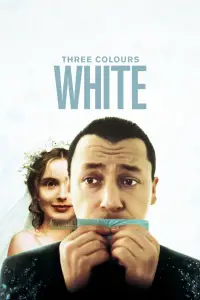 Poster to the movie "Three Colors: White" #955427