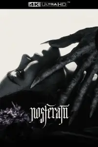 Poster to the movie "Nosferatu" #905138