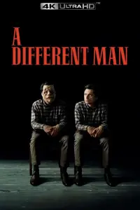 Poster to the movie "A Different Man" #958491