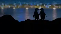 Backdrop to the movie "Meet the Penguins" #749104