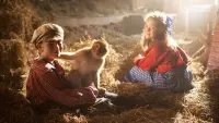 Backdrop to the movie "Monkey Business" #722998