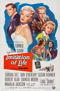 Poster to the movie "Imitation of Life" #1042028