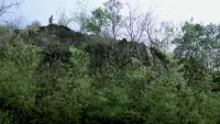 Backdrop to the movie "Tropical Malady" #783772