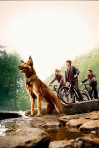 Poster to the movie "Max" #769633