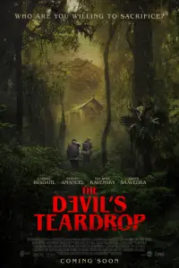 Poster to the movie "The Devil