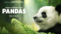Backdrop to the movie "Pandas" #1079264