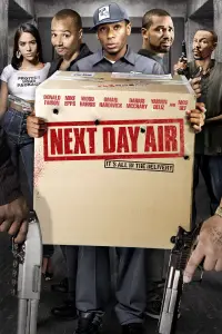 Poster to the movie "Next Day Air" #1146376