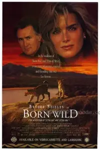 Poster to the movie "Born Wild" #1097659