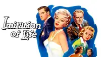 Backdrop to the movie "Imitation of Life" #1042024