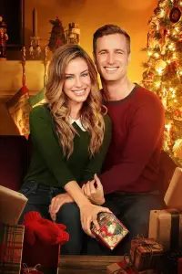 Poster to the movie "Magical Christmas Ornaments" #1176388