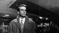 Backdrop to the movie "Indiscretion of an American Wife" #728746