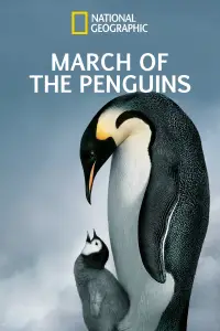 Poster to the movie "March of the Penguins" #966010