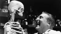 Backdrop to the movie "The Skeleton of Mrs. Morales" #892125