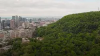 Backdrop to the movie "Urban Forests" #718538