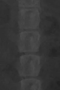 Poster to the movie "CIUDAD DE LA PAZ." #657885