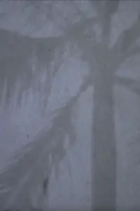 Poster to the movie "Jakarta Traveller