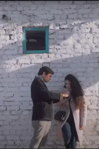 Poster to the movie "A Passenger in Love" #621884