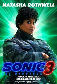 Poster to the movie "Sonic the Hedgehog 3" #905311