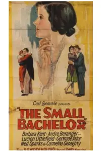 Poster to the movie "The Small Bachelor" #863869