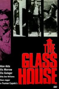 Poster to the movie "The Glass House" #1176854