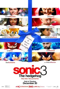 Poster to the movie "Sonic the Hedgehog 3" #905201