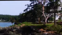 Backdrop to the movie "Practical Magic" #792633