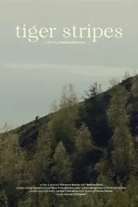 Poster to the movie "Tiger Stripes" #590307