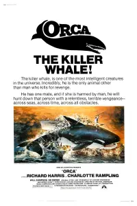 Poster to the movie "Orca" #980152
