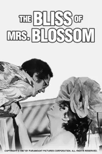 Poster to the movie "The Bliss of Mrs. Blossom" #985970
