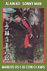 Poster to the movie "Mantis vs Falcon