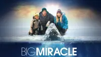 Backdrop to the movie "Big Miracle" #1027926