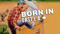 Backdrop to the movie "Born in East L.A." #1145311
