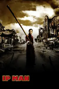 Poster to the movie "Ip Man" #715891
