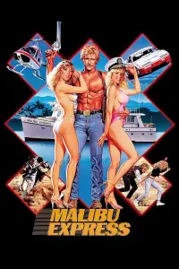 Poster to the movie "Malibu Express" #957648