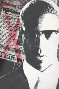 Poster to the movie "Malcolm X" #1029302