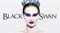 Backdrop to the movie "Black Swan" #595686