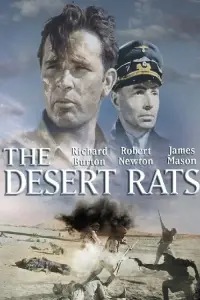 Poster to the movie "The Desert Rats" #1238442