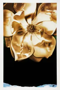 Poster to the movie "Magnolia" #805804