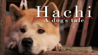 Backdrop to the movie "Hachi: A Dog