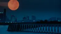 Backdrop to the movie "Fudoh: The New Generation" #831613
