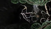 Backdrop to the movie "Lost in the Jungle" #867230