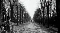Backdrop to the movie "The Third Man" #834858