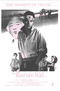 Poster to the movie "The Karate Kid" #753123