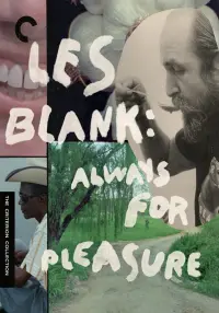 Always for Pleasure