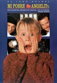 Poster to the movie "Home Alone" #742922