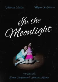 Poster to the movie "in the moonlight" #808296