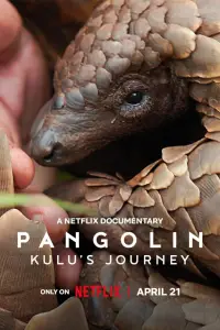Poster to the movie "Pangolin: Kulu