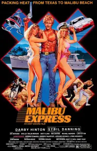 Poster to the movie "Malibu Express" #623065