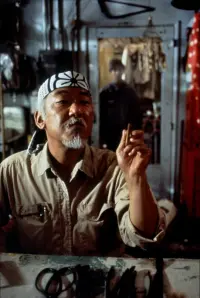 Poster to the movie "The Karate Kid Part II" #712469